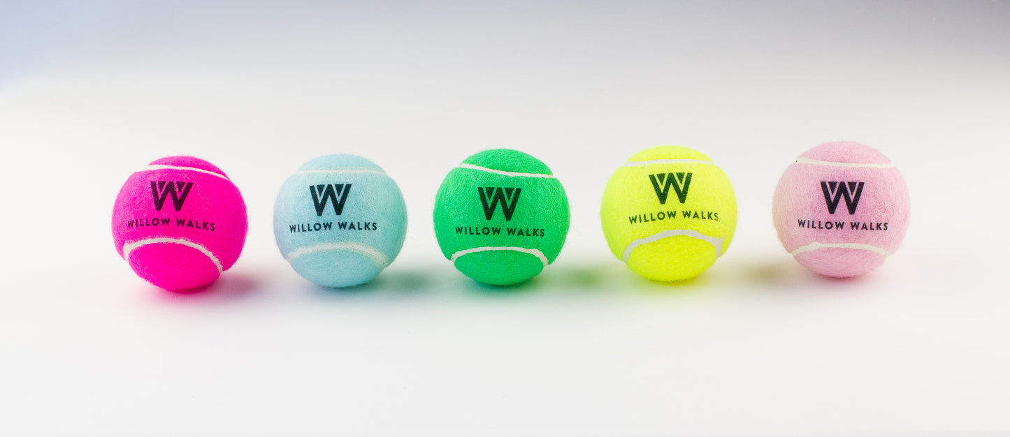 Dog toy tennis ball Willow Walks