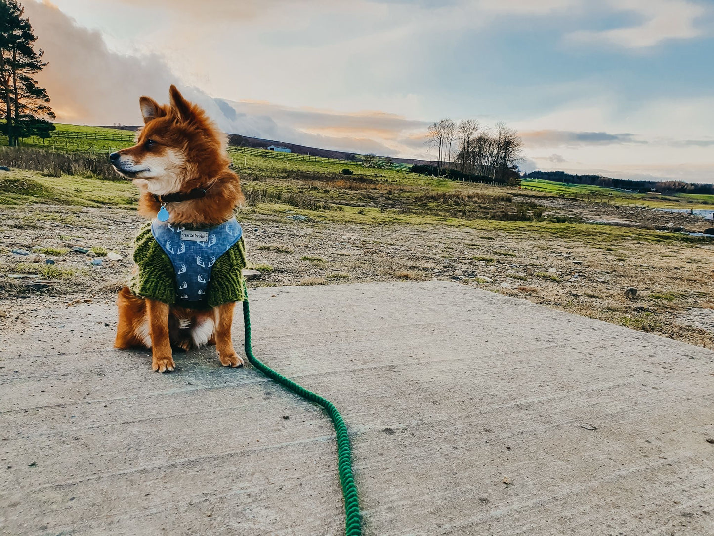 Willow Walks rope lead with leather handle in brown and dark green