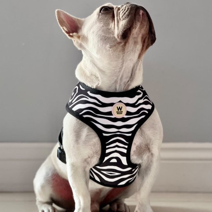 Willow Walks Reversible Harness in mono zebra and multi