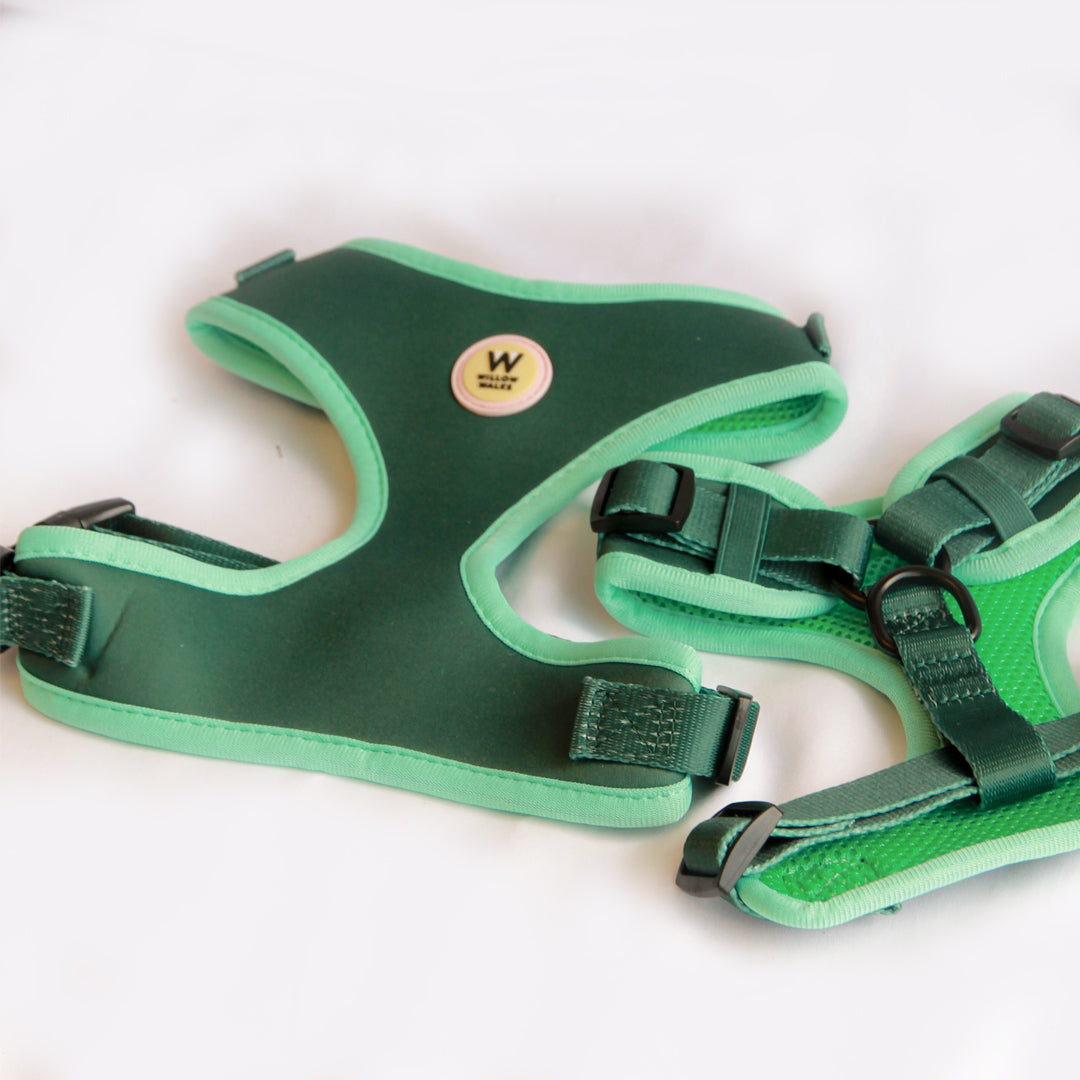 Willow Walks Bundle in dark green and aqua SAVE £18