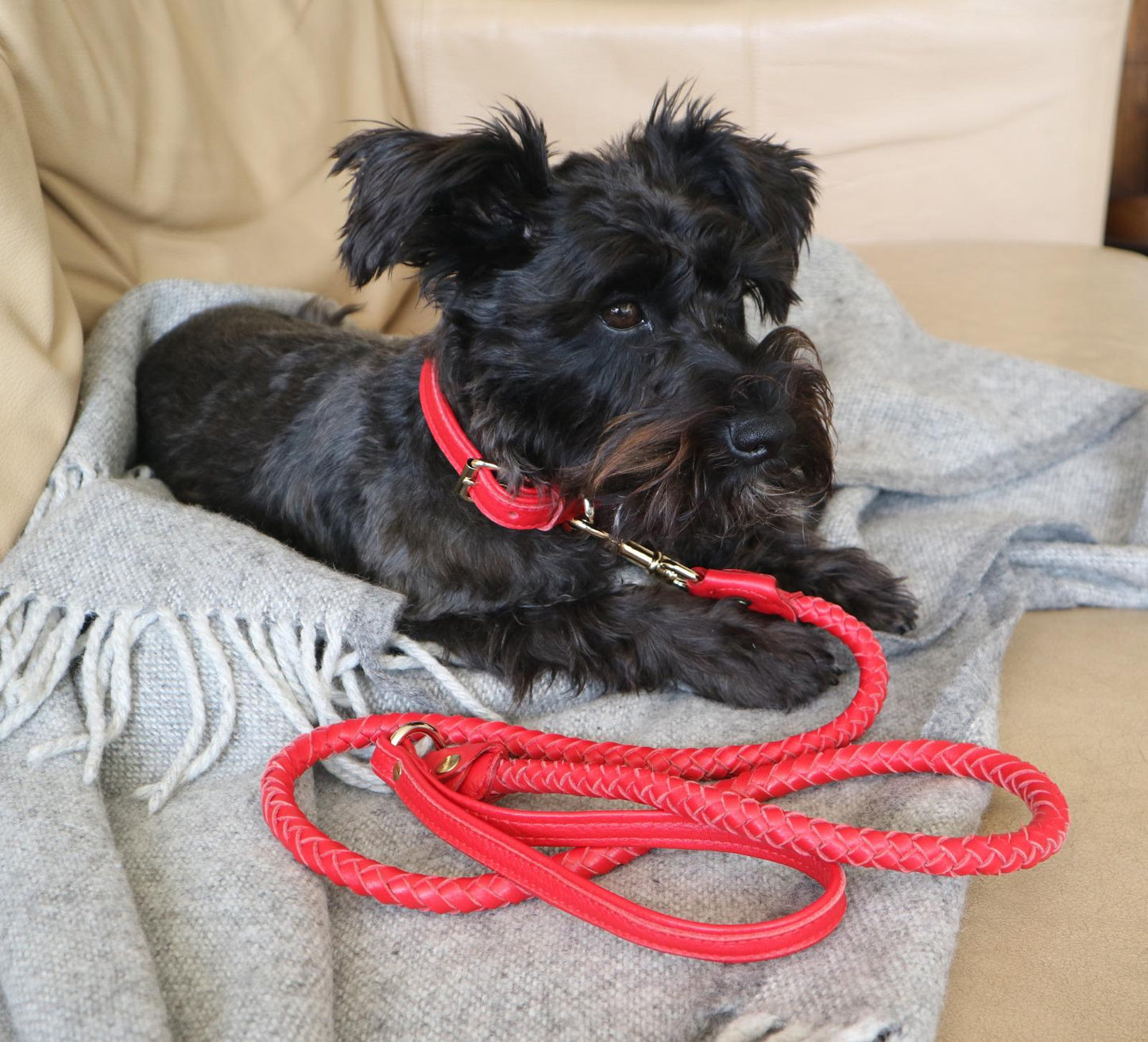 Willow Walks leather collar in red