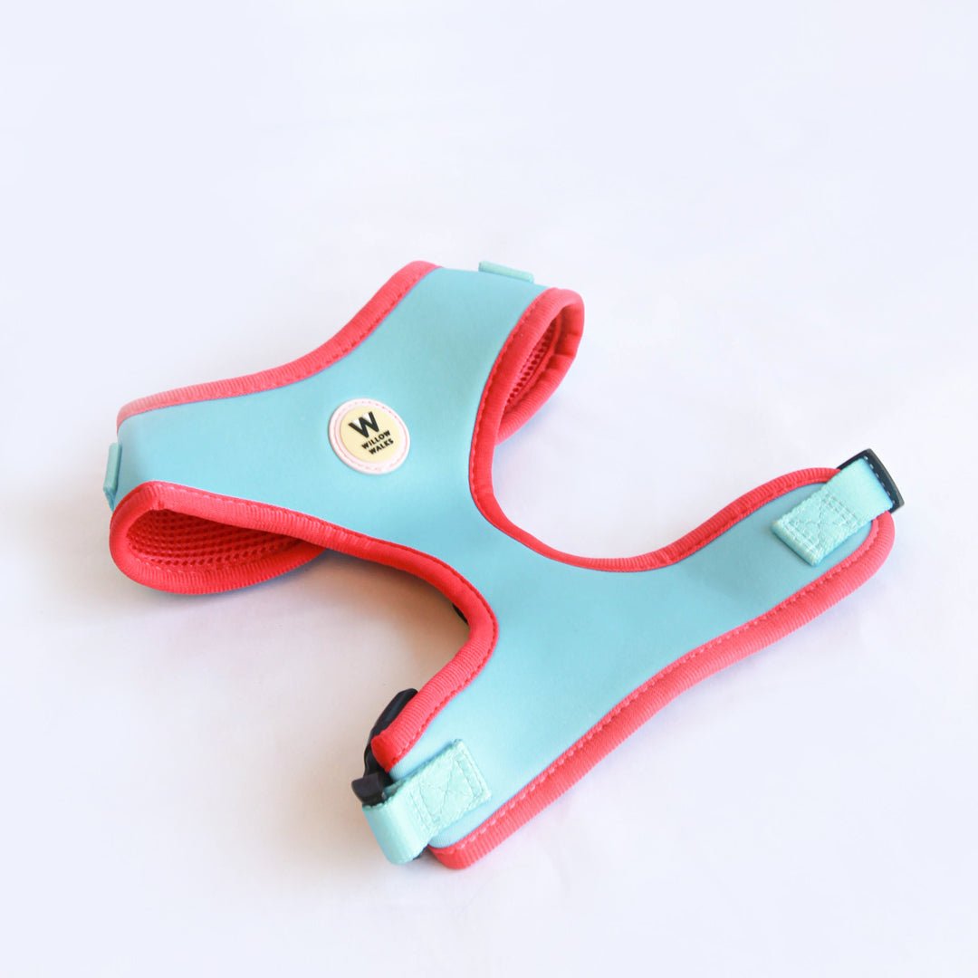 Willow Walks Adjustable Harness in aqua and fuchsia