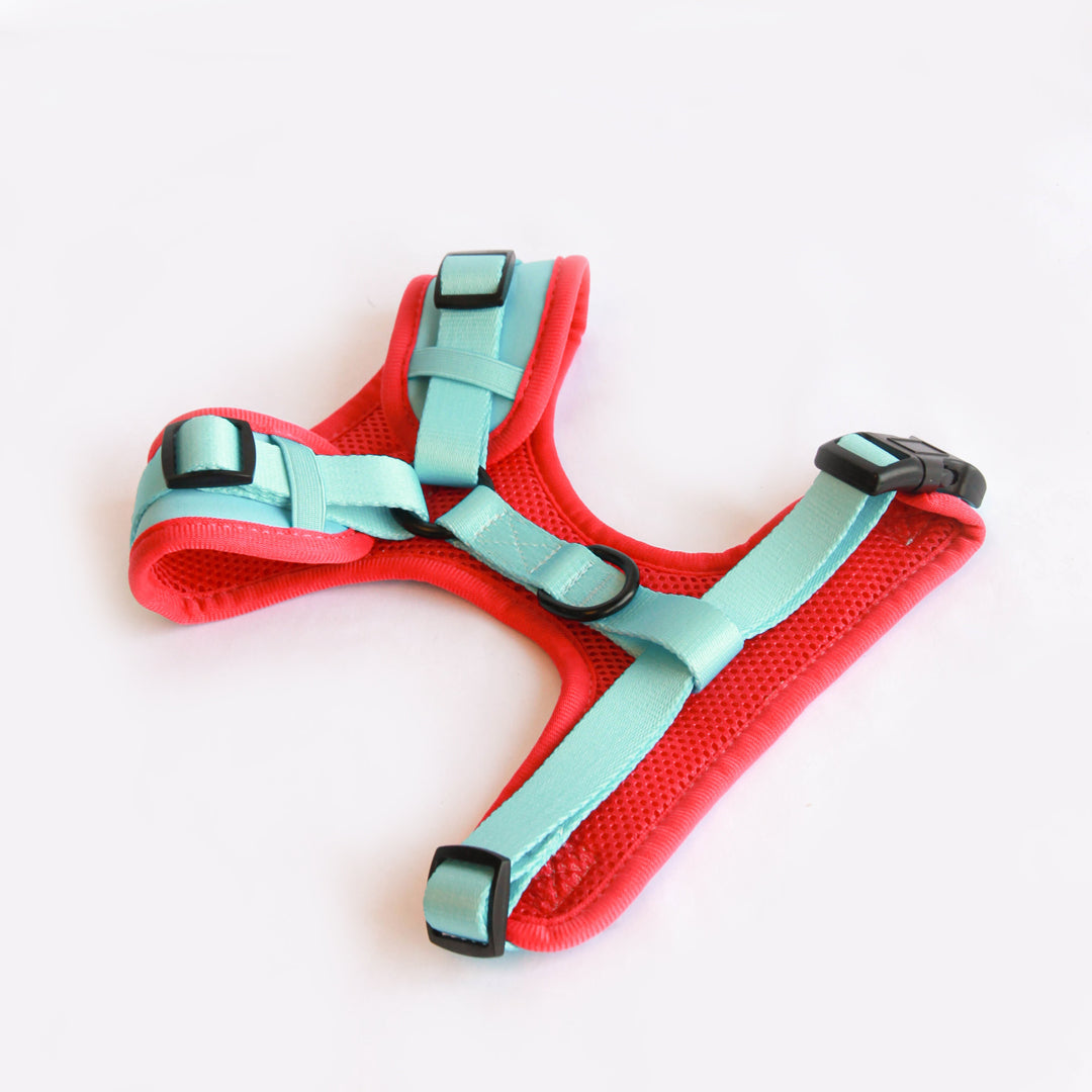 Willow Walks Adjustable Harness in aqua and fuchsia