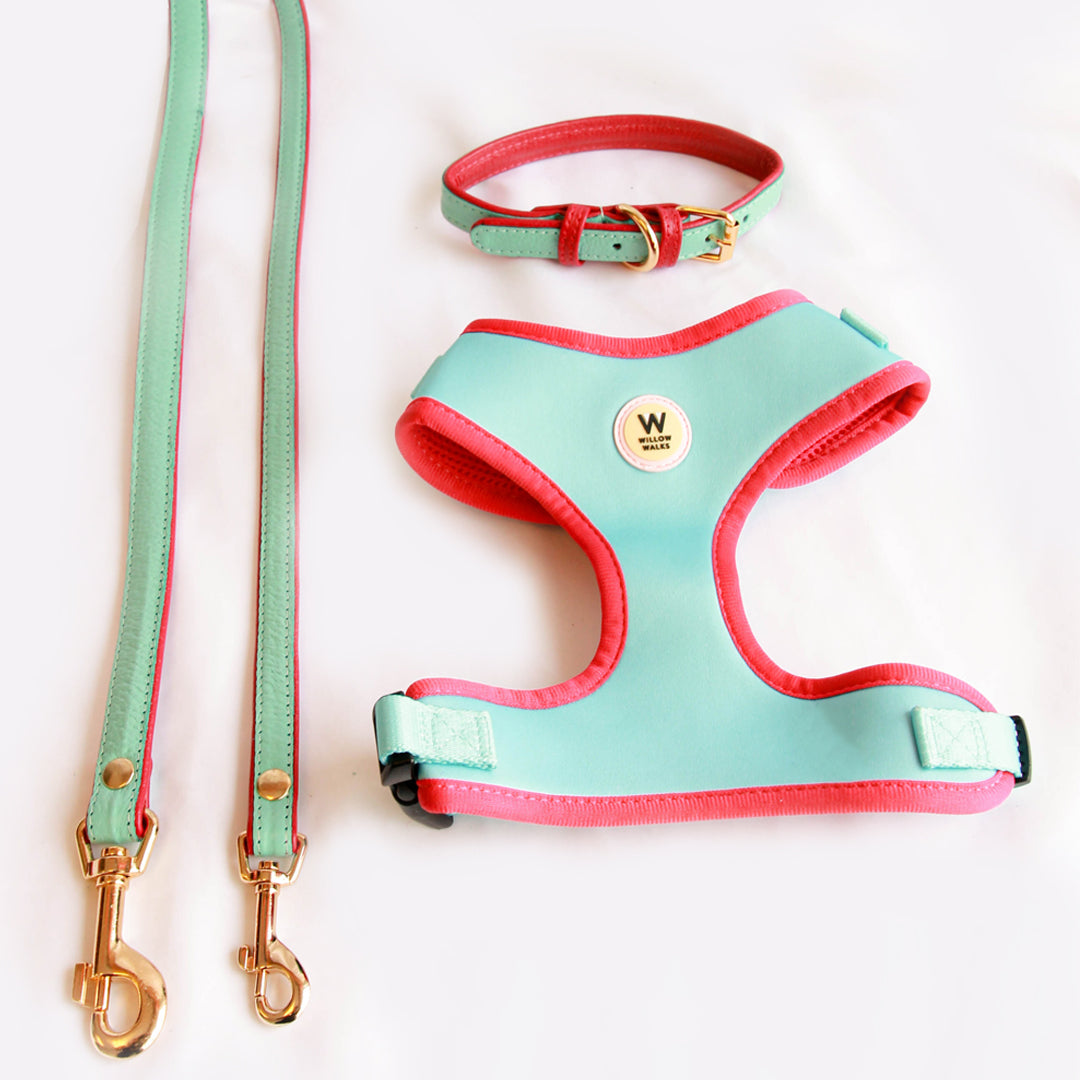 Willow Walks Adjustable Harness in aqua and fuchsia