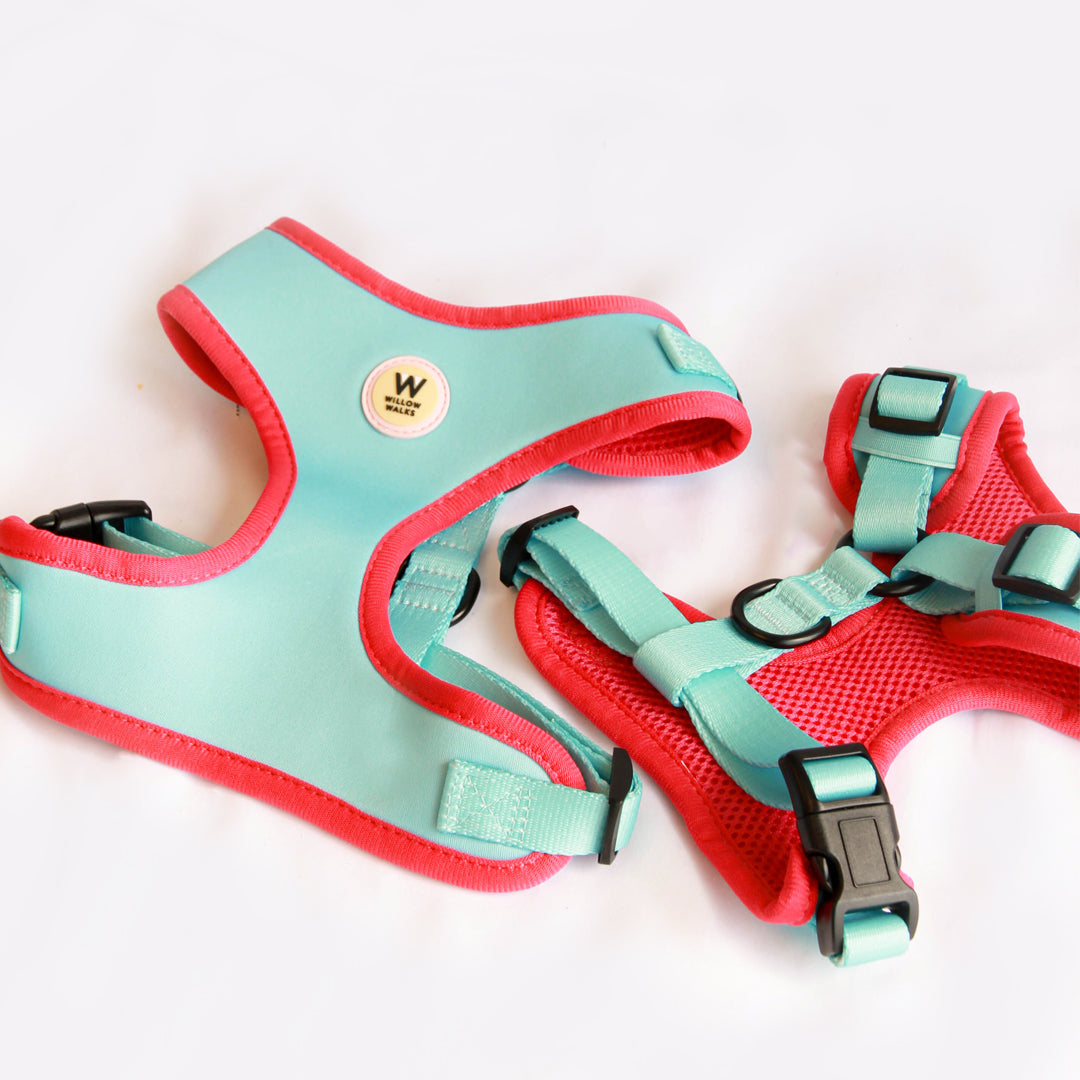 Willow Walks Adjustable Harness in aqua and fuchsia