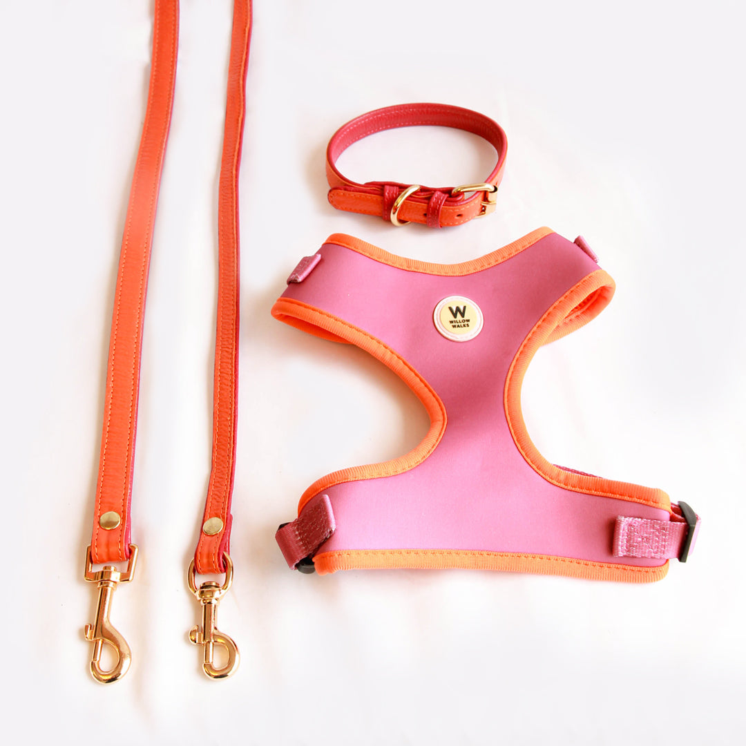 Willow Walks Bundle in fuchsia and orange SAVE £18