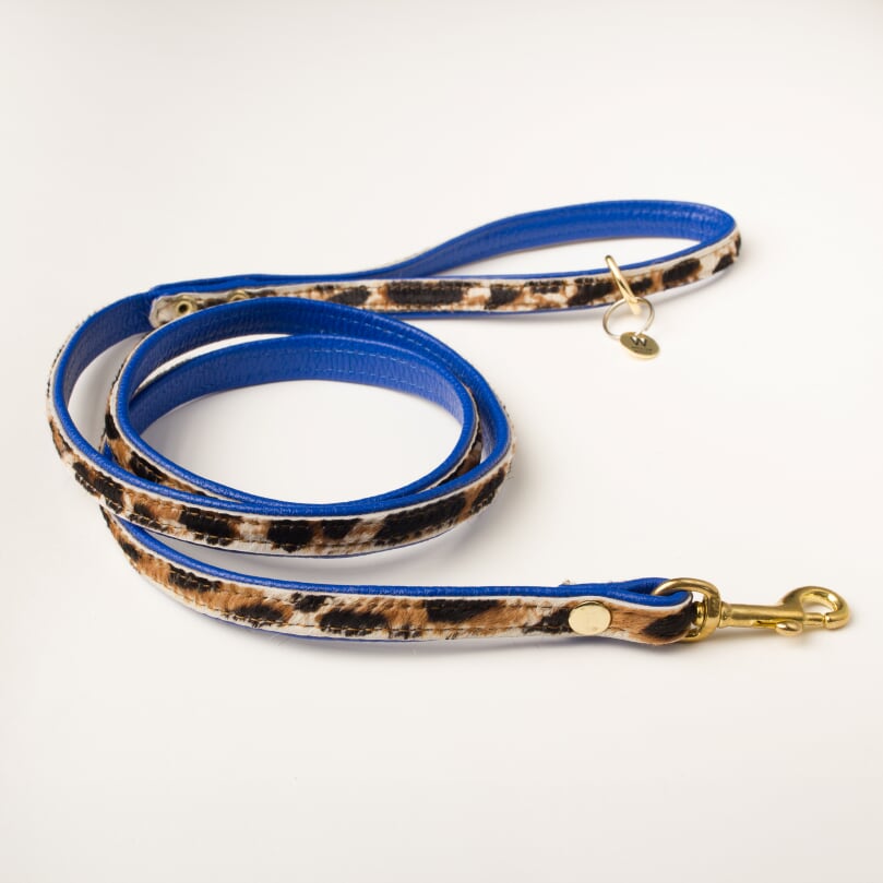 Willow Walks double sided soft leather lead in leo and cobalt blue