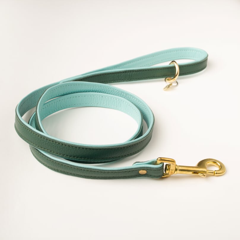 Willow Walks Bundle in dark green and aqua SAVE £18