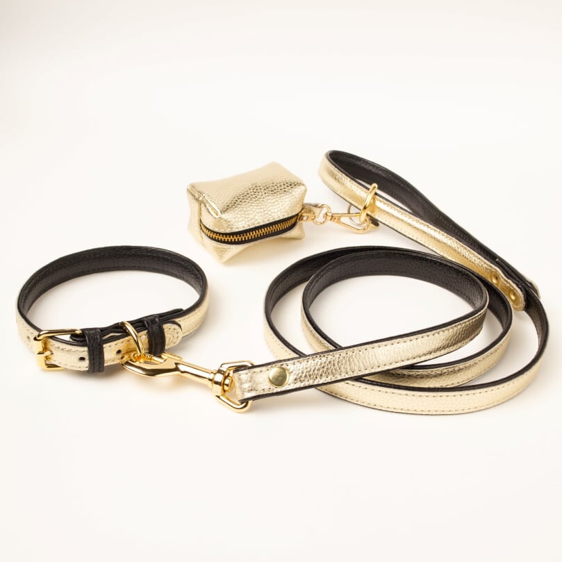 Willow Walks premium double sided soft leather lead in black and gold