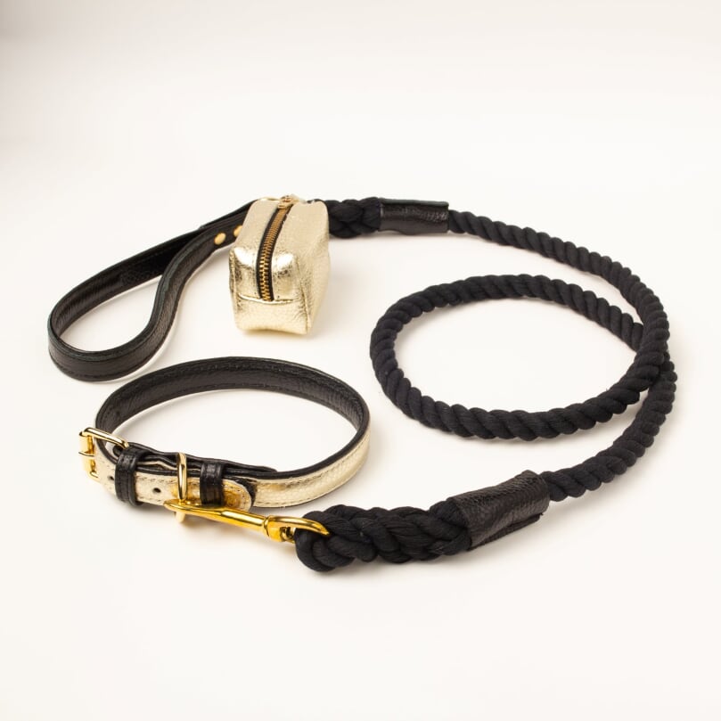 Willow Walks premium leather collar in gold and black