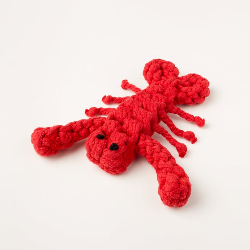 Willow Walks lobster dog rope toy in orange