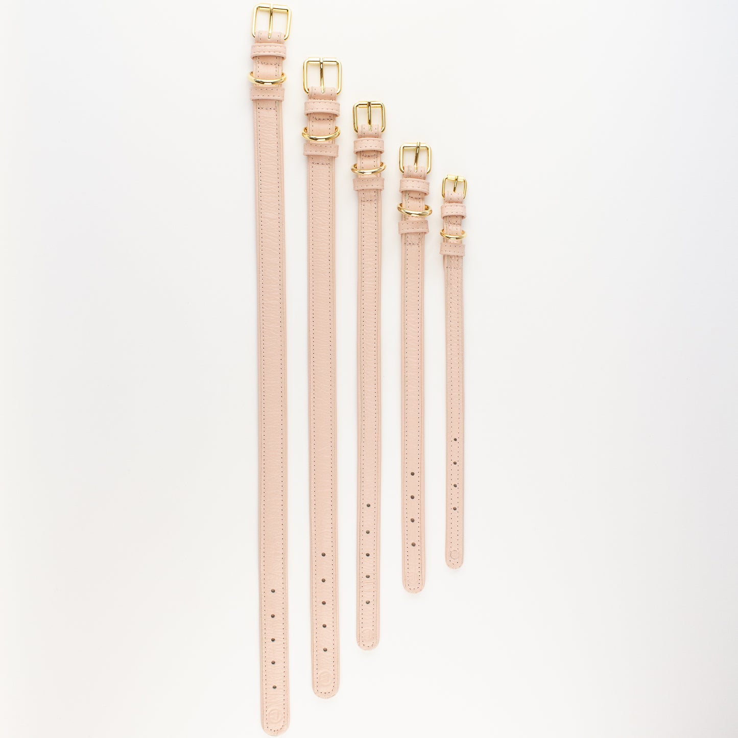 Dog leather collar Willow Walks