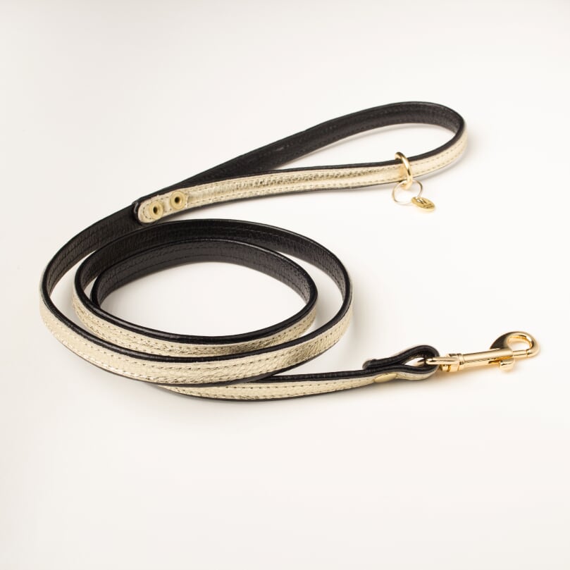 Willow Walks premium double sided soft leather lead in black and gold