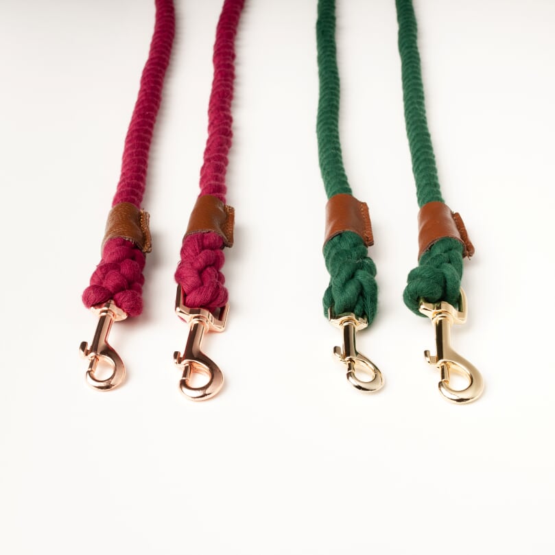Willow Walks rope lead with leather handle in brown and dark green