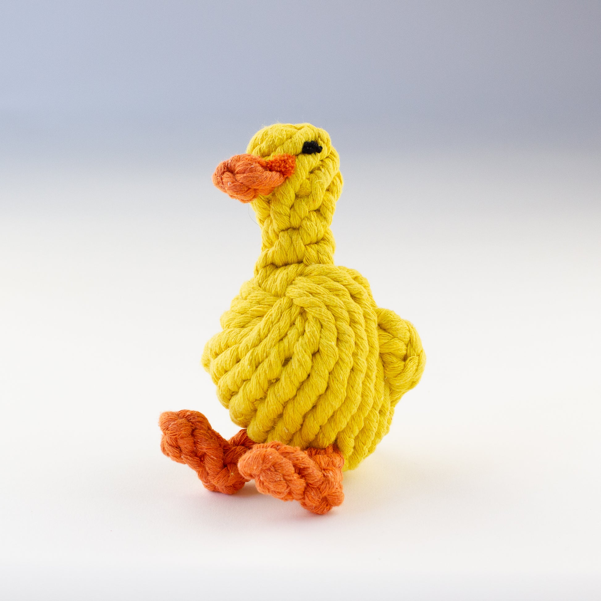 Dog toy duck Willow Walks