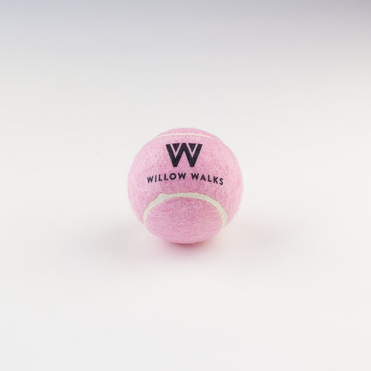 Dog toy tennis ball Willow Walks