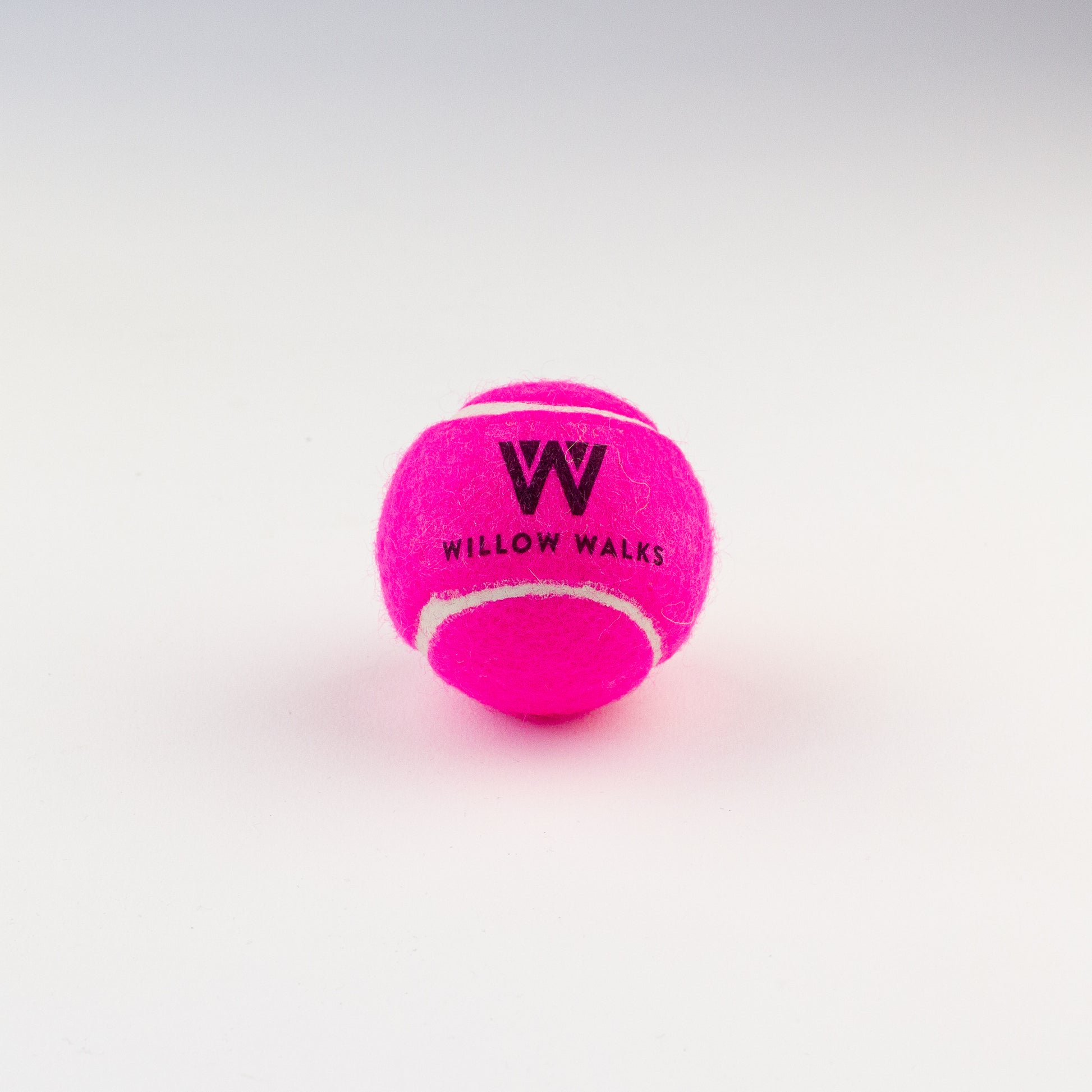 Dog toy tennis ball Willow Walks