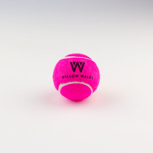 Dog toy tennis ball Willow Walks