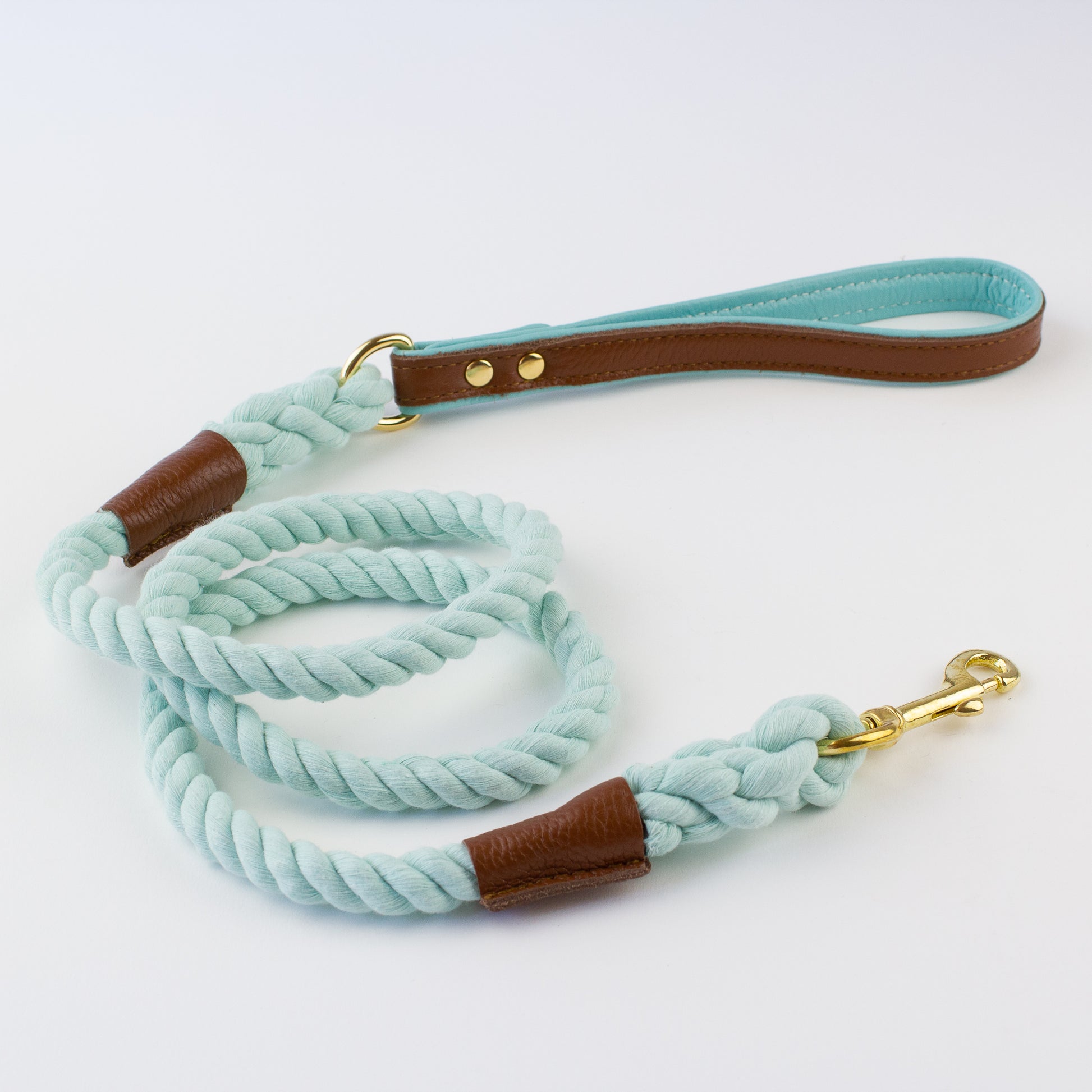 Brown aqua rope lead Willow Walks