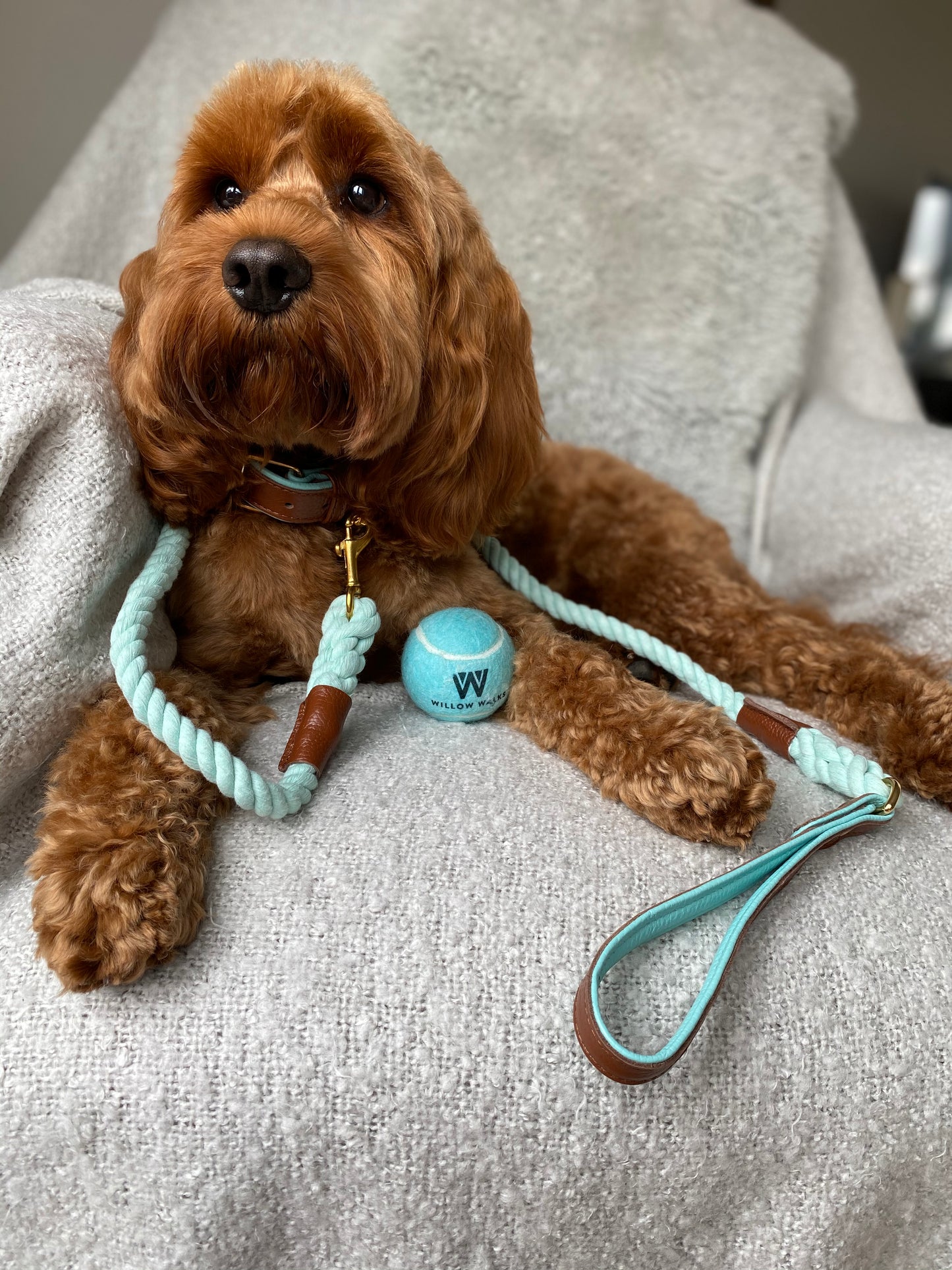 Willow Walks leather collar in brown and aqua