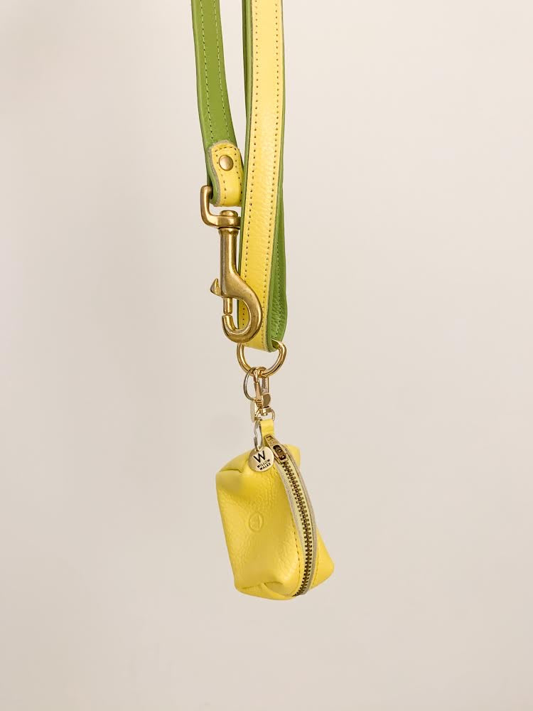 Willow Walks double sided soft leather lead in yellow and light green