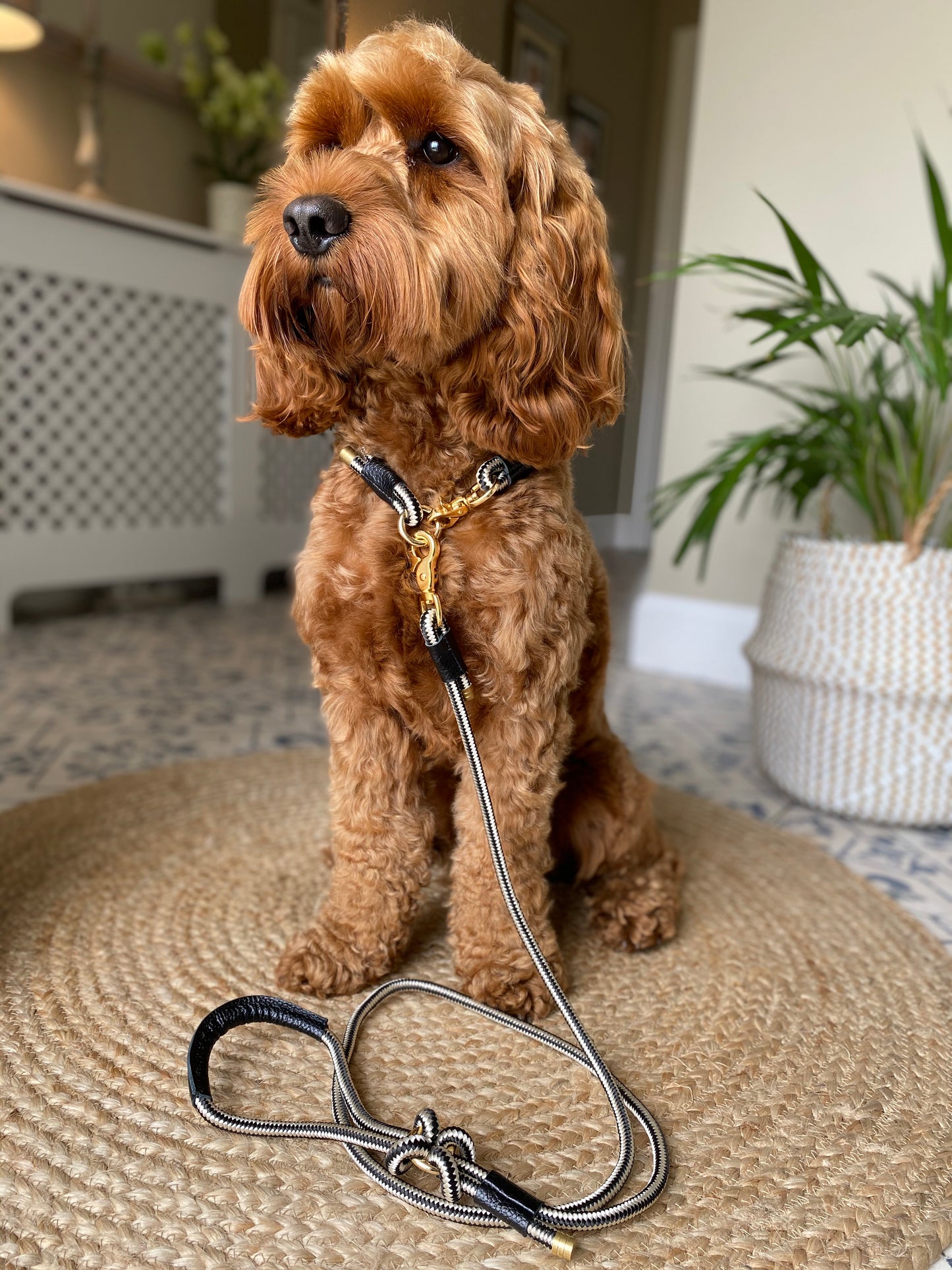 Willow Walks marine rope collar with leather details in black and white