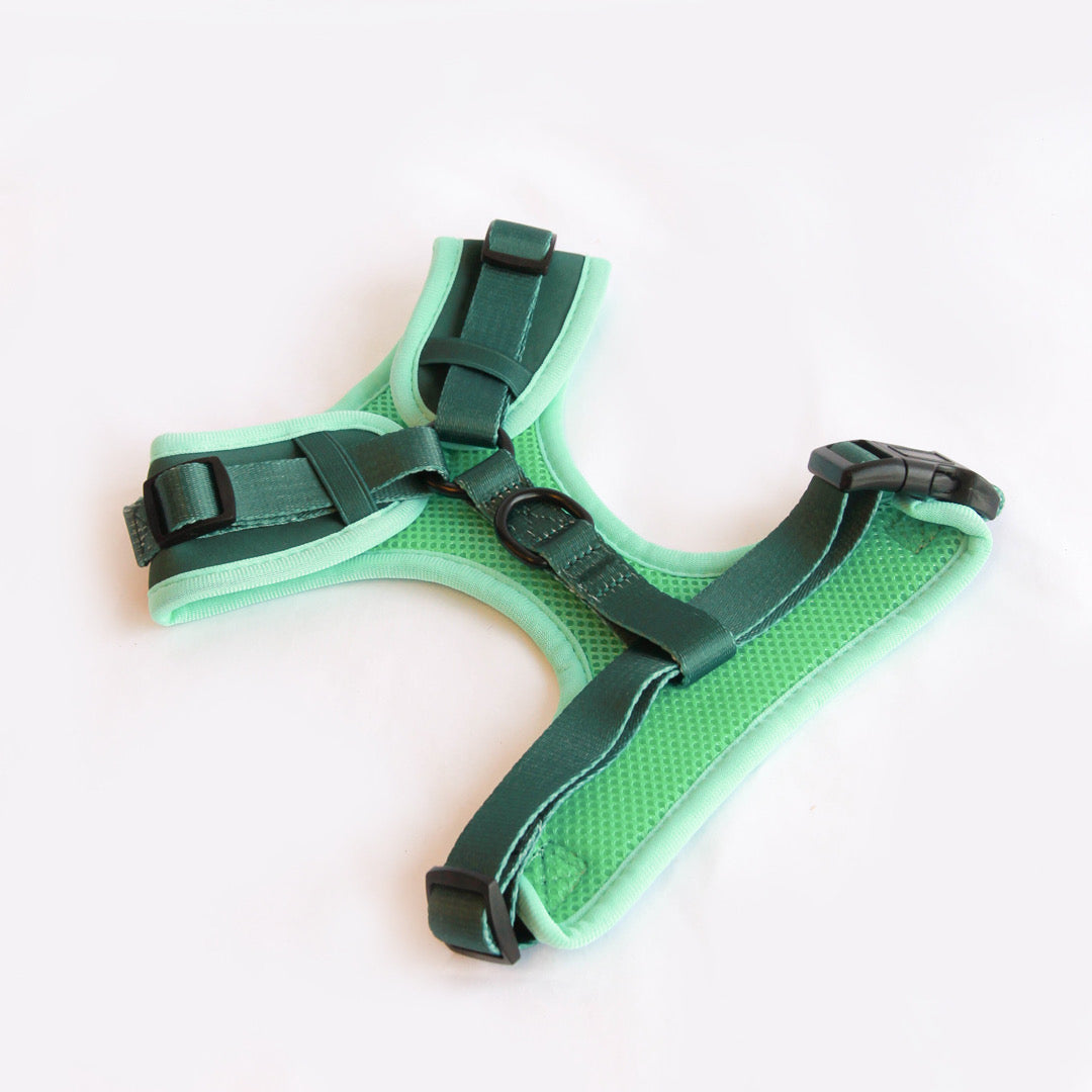 Willow Walks Adjustable Harness in dark green and aqua