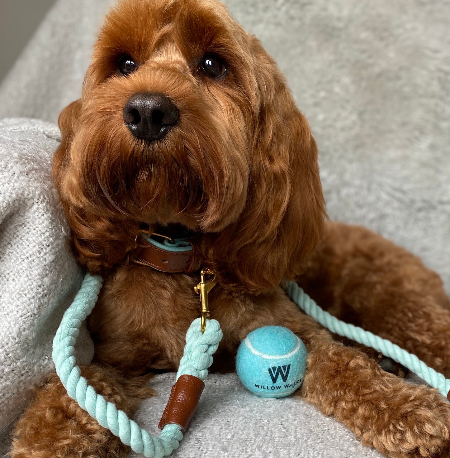 Willow Walks rope lead with leather handle in brown and aqua